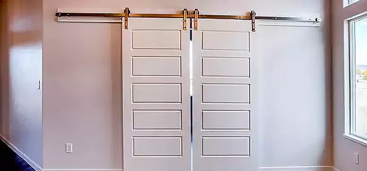 Glass Barn Door with Installation Hardware Kit Grapevine