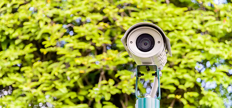 Advanced Surveillance Solutions for Every Need in Grapevine